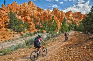 mountain biking zion bryce ranch zmr activities