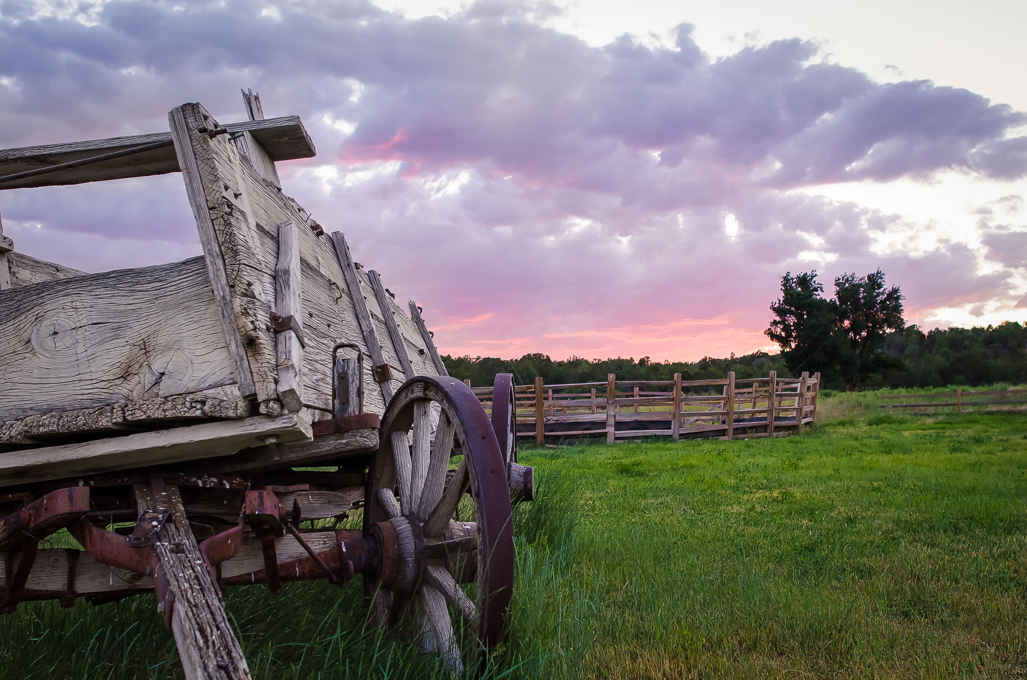 – Home on the range